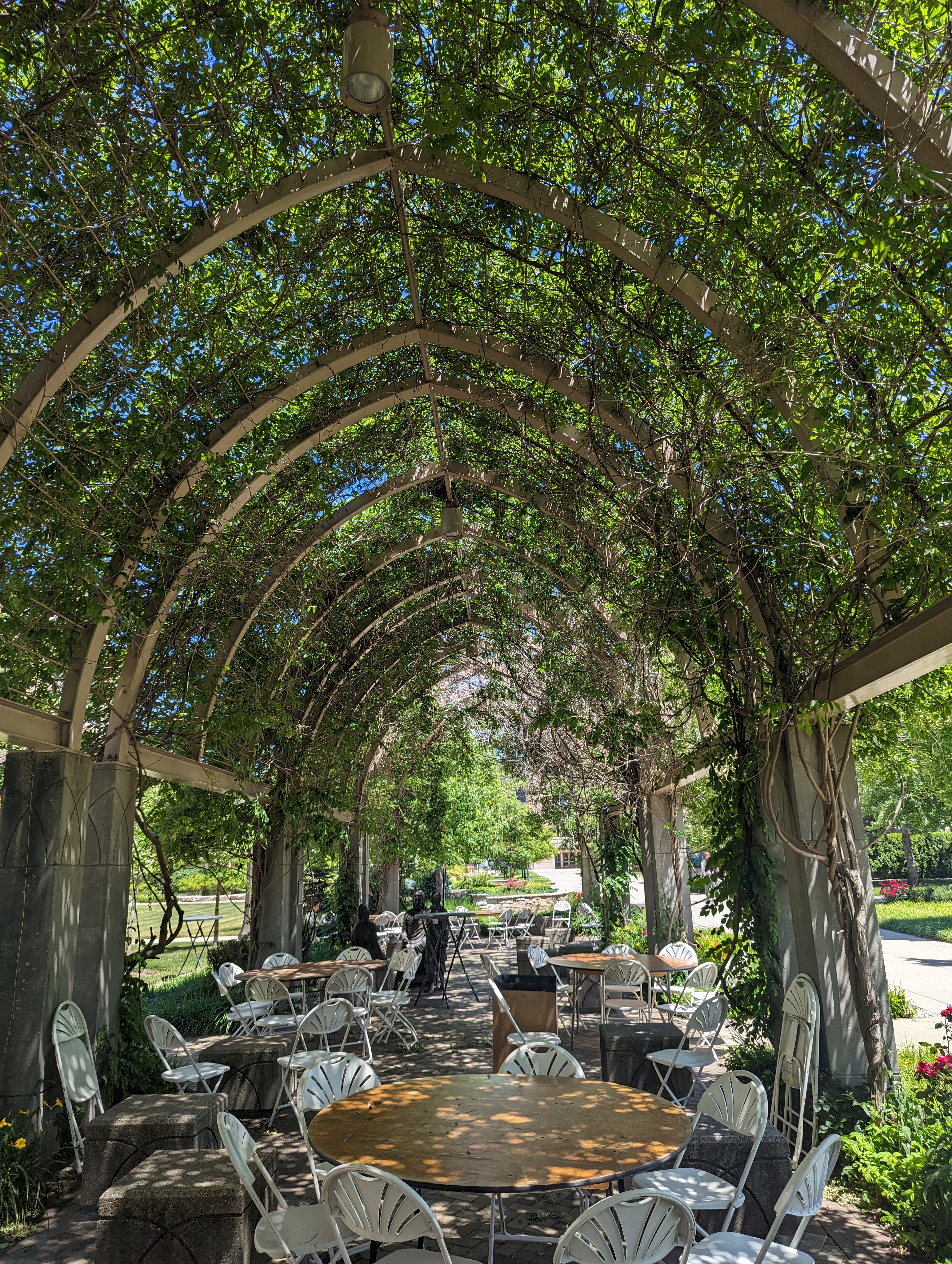 An arched pergola covered in leaves shelters café tables and chairs.