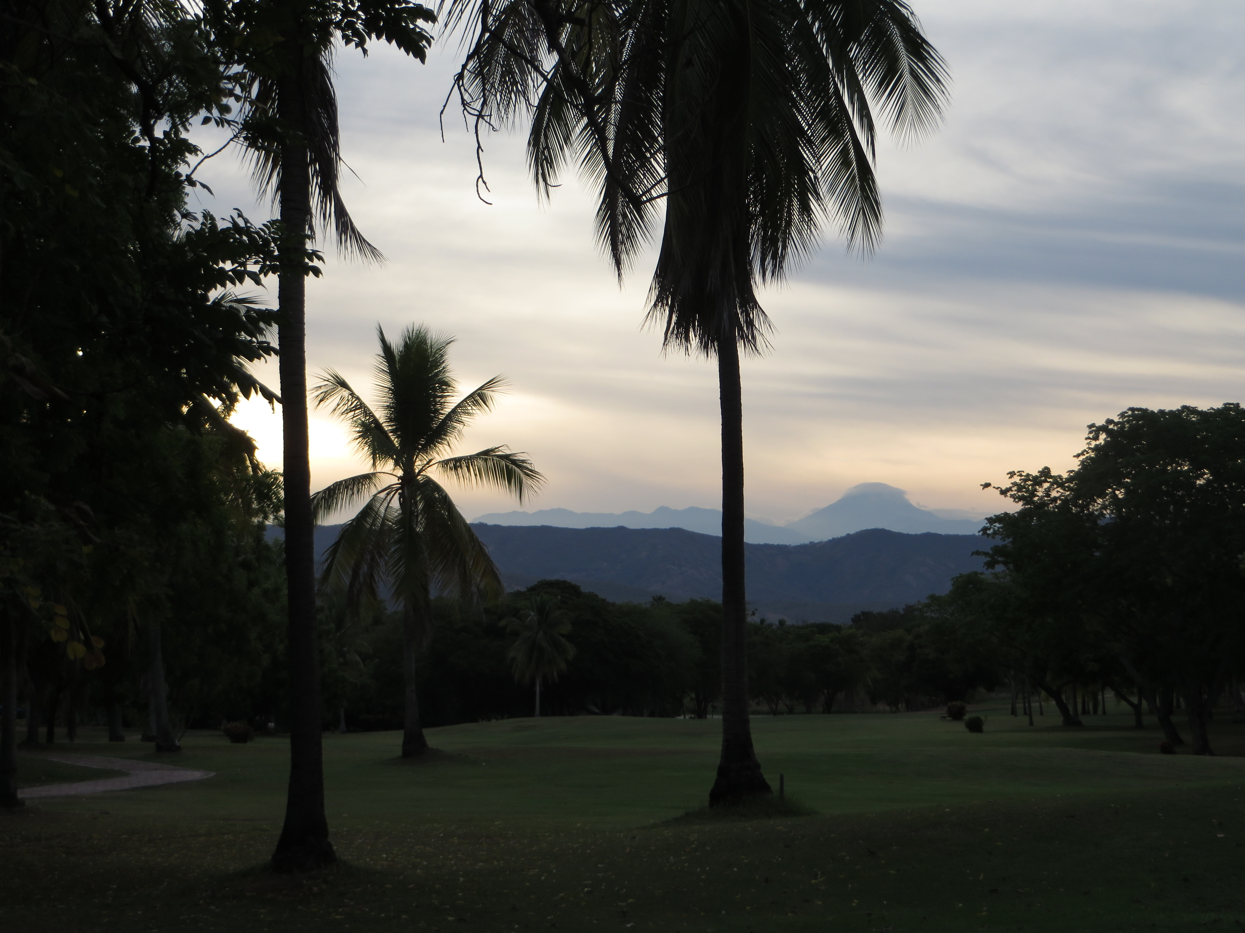 Palm silhouettes stand against a distant mountain landscape.