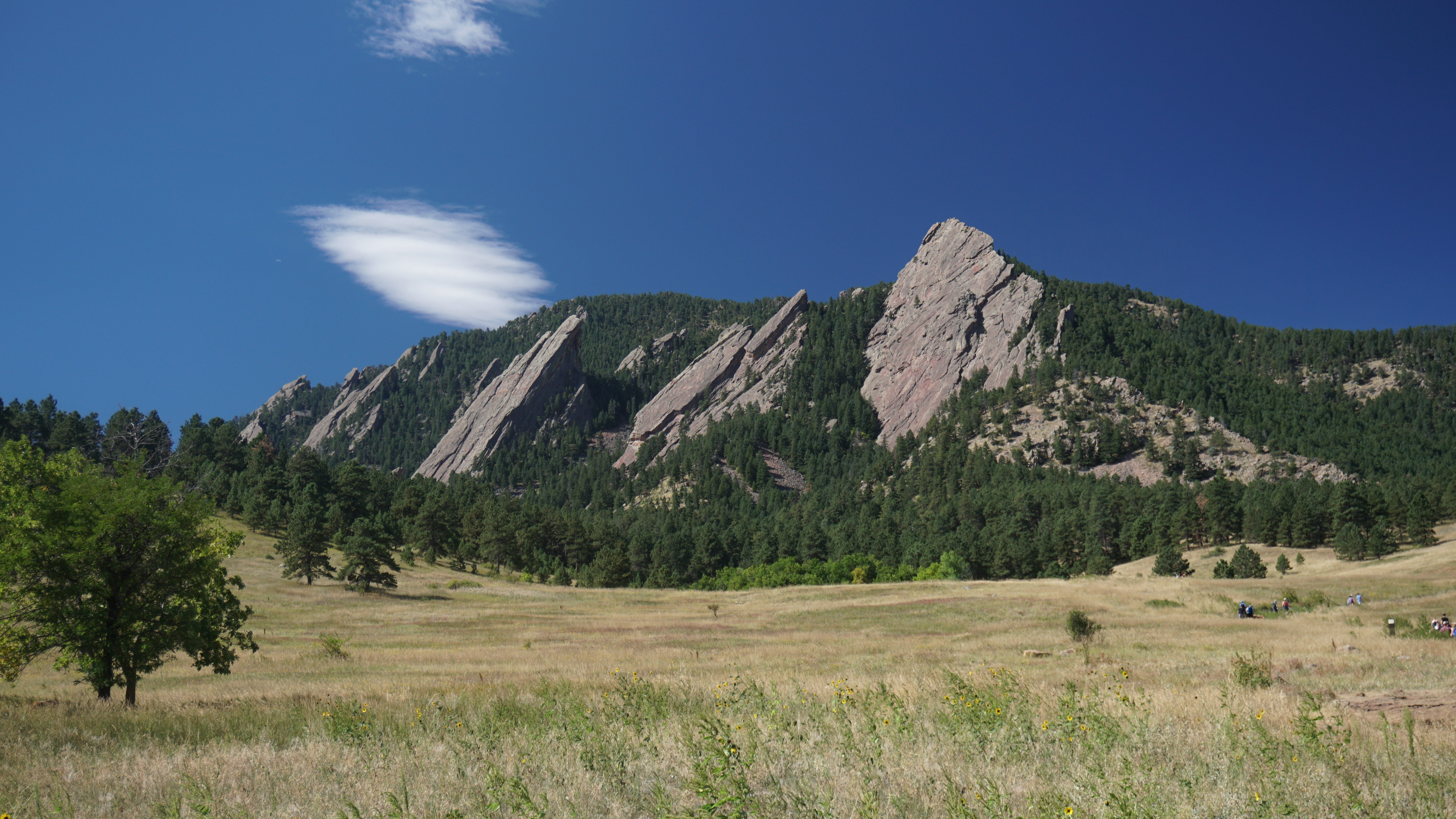 Slanting rock formations rise over a forest and meadow beneath a blue sky.